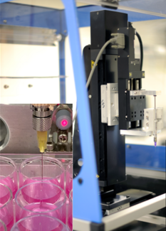3D Bio-Printer Liver Tissue
