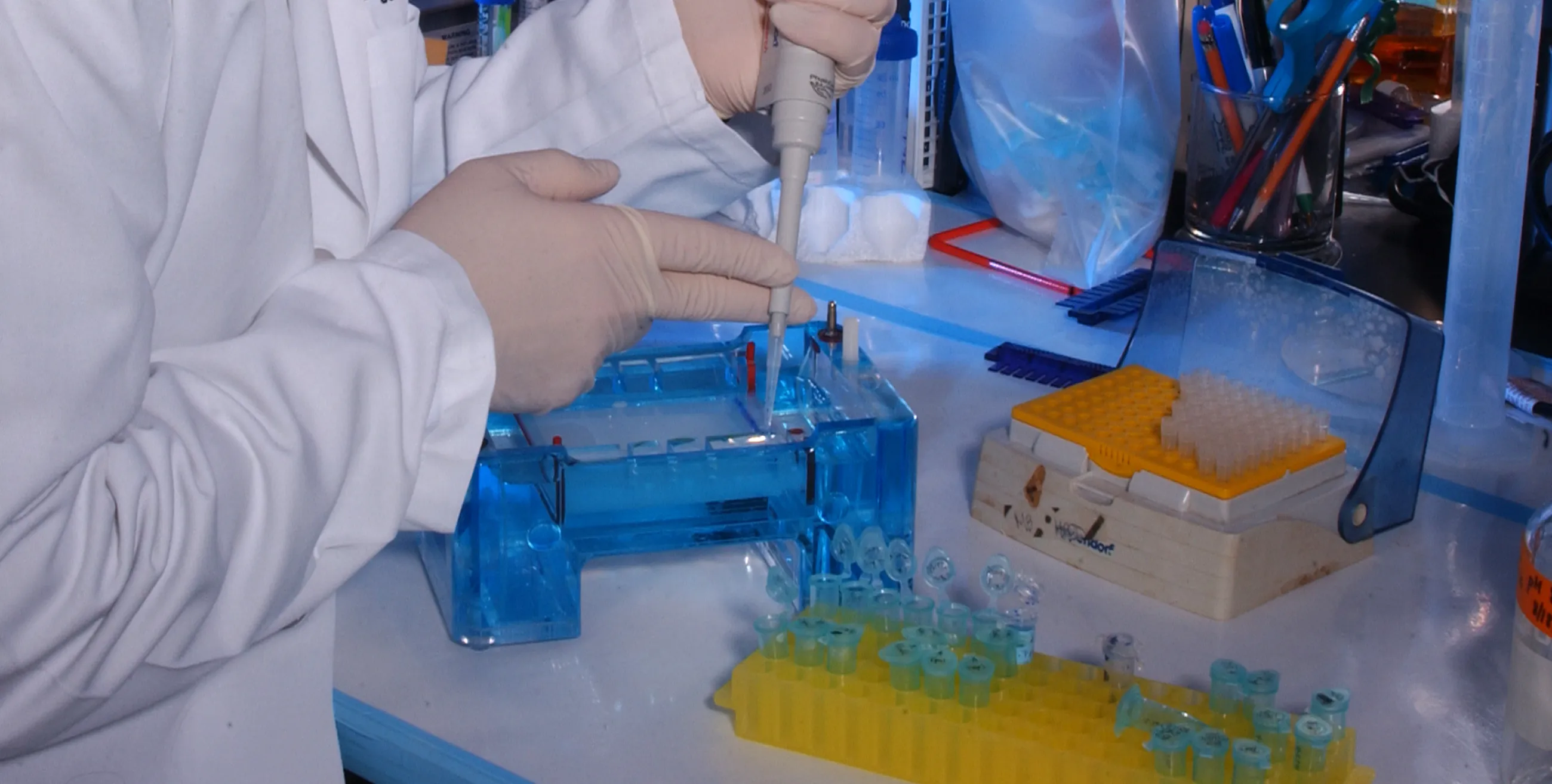 Gene Therapy Laboratory