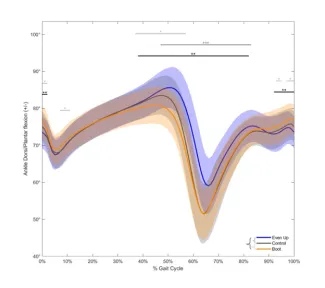 Biomechanical Analysis of Gait in a Walking Boot Study Results - Figure 1